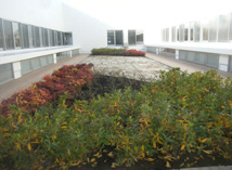 屋上庭園